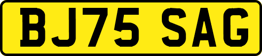 BJ75SAG