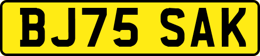 BJ75SAK
