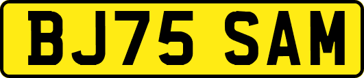 BJ75SAM