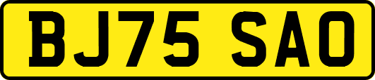 BJ75SAO