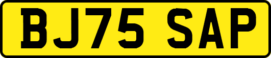 BJ75SAP