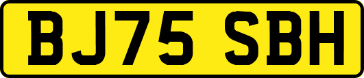 BJ75SBH