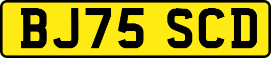 BJ75SCD
