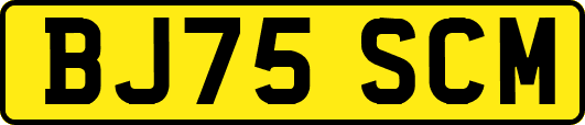 BJ75SCM