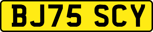 BJ75SCY