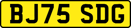 BJ75SDG
