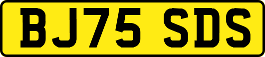 BJ75SDS
