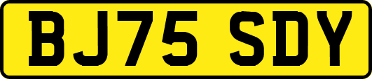 BJ75SDY