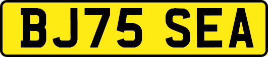 BJ75SEA