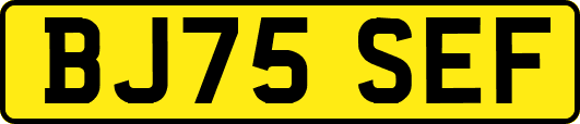 BJ75SEF