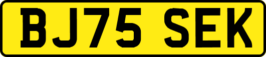 BJ75SEK