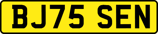 BJ75SEN