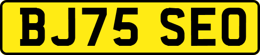 BJ75SEO