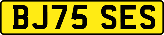 BJ75SES