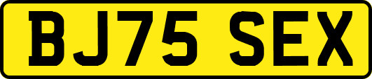 BJ75SEX