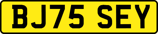 BJ75SEY