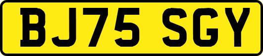 BJ75SGY