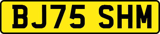 BJ75SHM