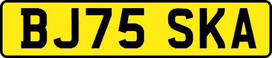 BJ75SKA