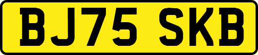 BJ75SKB