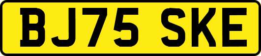 BJ75SKE