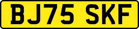 BJ75SKF
