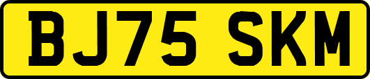 BJ75SKM