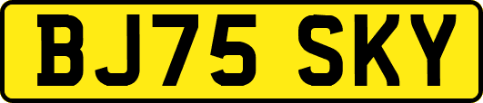 BJ75SKY