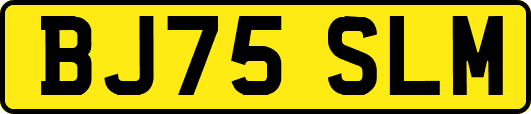 BJ75SLM