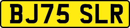 BJ75SLR
