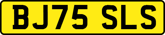 BJ75SLS