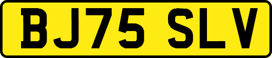 BJ75SLV