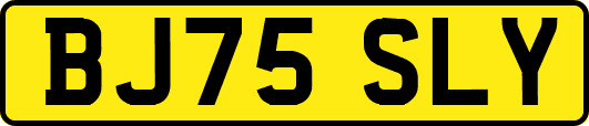 BJ75SLY