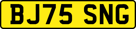 BJ75SNG