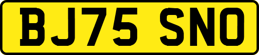 BJ75SNO