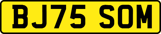 BJ75SOM