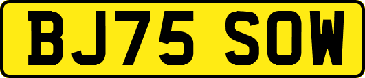 BJ75SOW