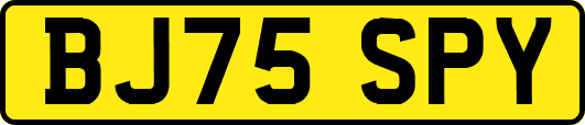 BJ75SPY