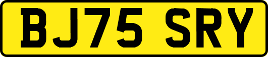 BJ75SRY