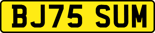 BJ75SUM
