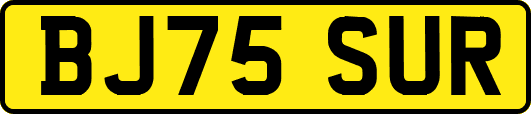 BJ75SUR