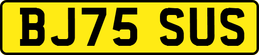 BJ75SUS