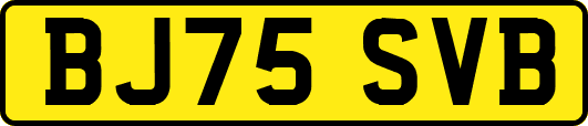 BJ75SVB