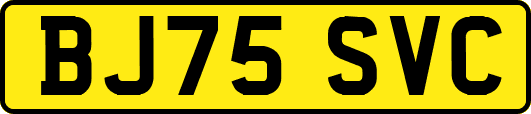 BJ75SVC