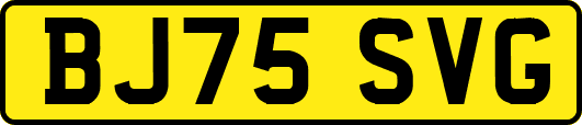 BJ75SVG