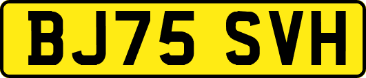 BJ75SVH