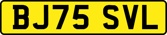 BJ75SVL