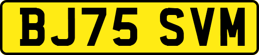BJ75SVM