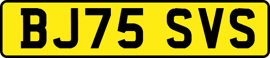 BJ75SVS