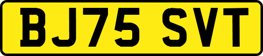 BJ75SVT